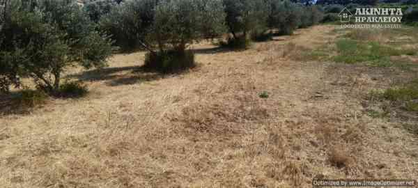 εικόνα_Viber_2025-06-12_12-32-01-024.jpg